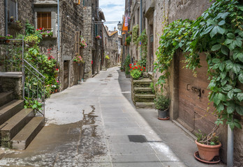 Fototapeta na wymiar Vitorchiano, medieval rural village in Viterbo Province, Lazio (Italy)