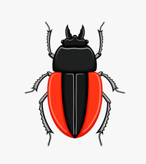 Creepy Scarab Beetle Vector