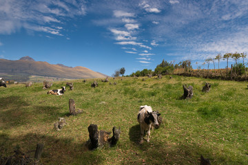 paesaggi dell ecuador