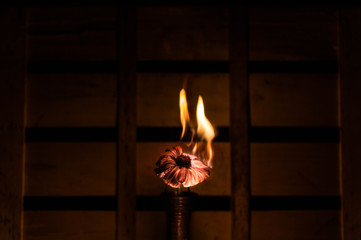Burning flower on a dark crate background