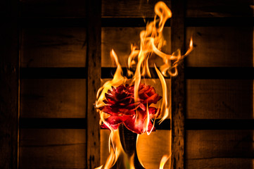 Burning flower on a dark crate background