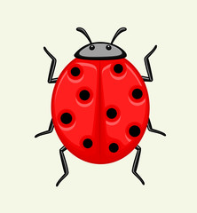 Ladybug Vector