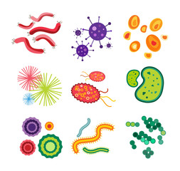 Bacteria virus vector icon