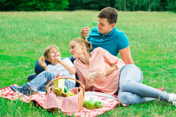 Family Having Picnic In The Park