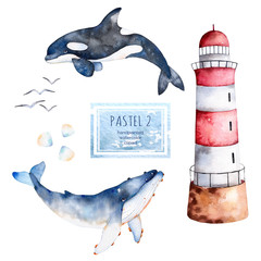 Obraz premium Watercolor handpainted whales,seashells and lighthouse in pastel colors.Perfect for your project,texture,blog,wallpaper,pattern,kids texture,gift paper, wrapping etc