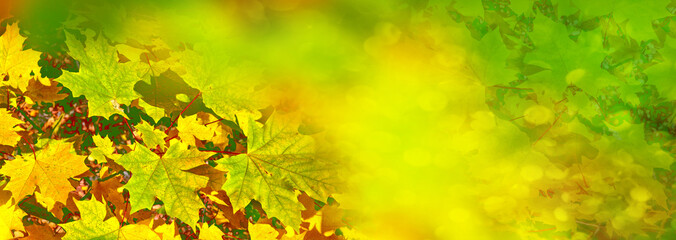 autumn landscape with bright colorful foliage. Indian summer.