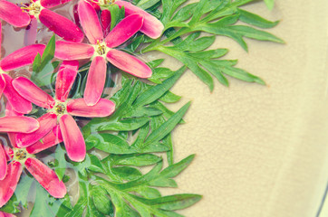 Rangoon Creeper , pink flower and green leave background