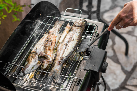 Grilling Fish