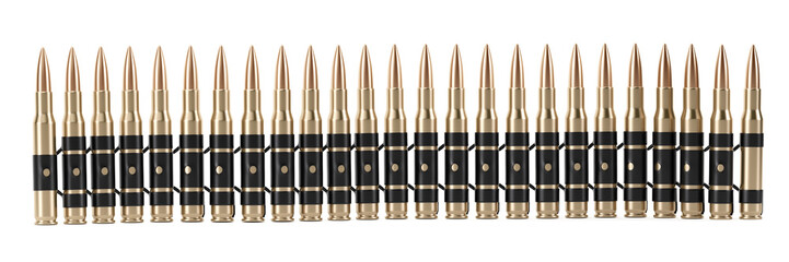 Bullet Shells Belt