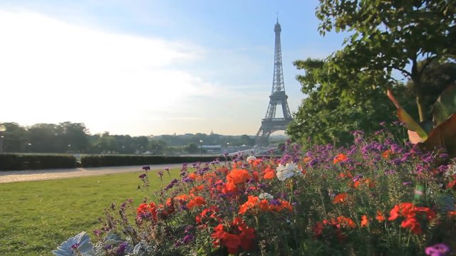 unusual view of the famous landmark eiffel tower seen through flowers paris france tilt rack focus low angle trocadero