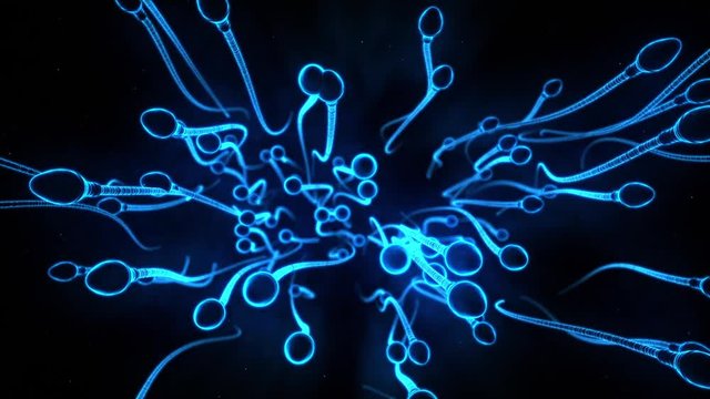 Lots of Human Sperm Cell Swimming Towards Egg Concept
