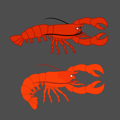 Crayfishes