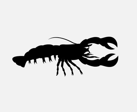 Crayfish Silhouette