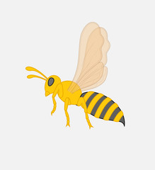 Bee Vector