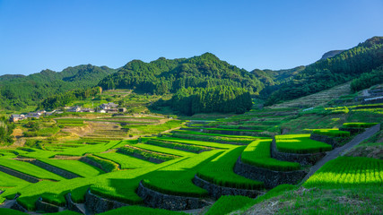 famous terraced rice-fields in Hasami, Nagasaki, Japan. - obrazy, fototapety, plakaty