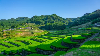 Poster beroemde terrasvormige rijstvelden in Hasami, Nagasaki, Japan. © bbargueiras