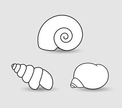 Shells Clipart
