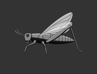 Vintage Grasshopper Vector