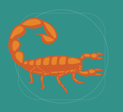 Scorpion Vector