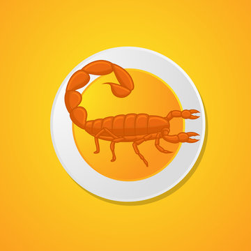 Scorpion Food