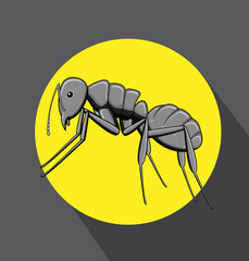 Black Ant Vector