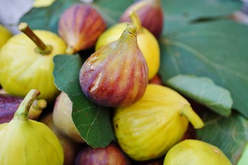 Very ripe green and purple figs in summer