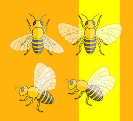 Flock of Bees
