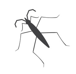 Water Strider Insect Silhouette