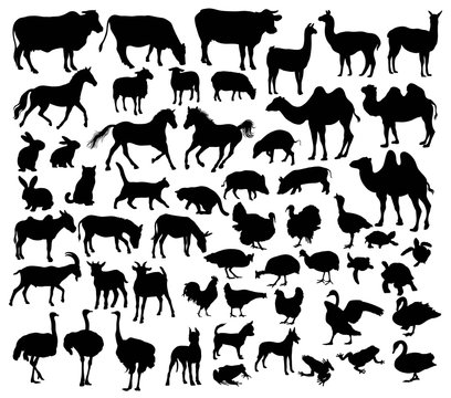 Farm Animal Silhouettes, art vector design