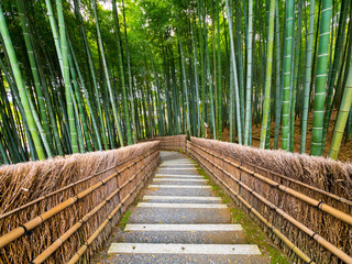 Path to bamboo forest, Arashiyama, Kyoto, Japan.