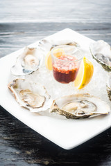 Oyster