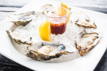 Oyster