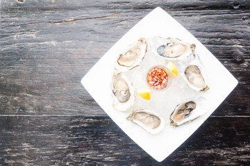 Oyster