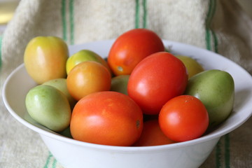 fresh delicious tomatoes