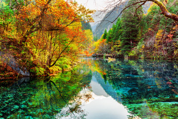 The Five Flower Lake. Colorful fall forest reflected in water