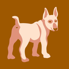 bull terrier dog vector illustration style Flat
