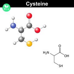 Cysteine proteinogenic amino acid
