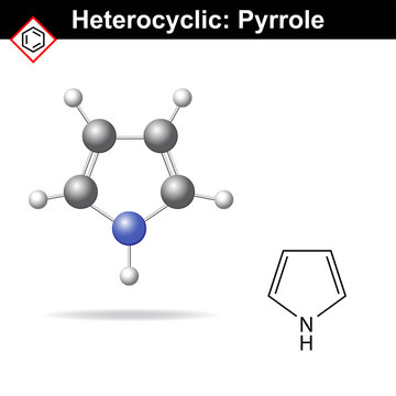 Pyrrole five-membered organic heterocycle