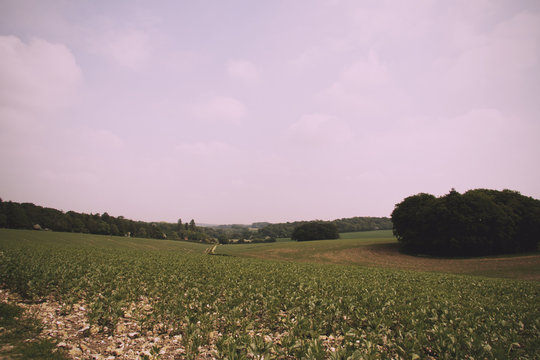 View over the Chilterns landscape in Buckinghamshire, England Vi