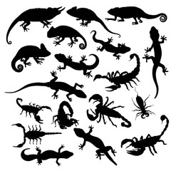 Naklejka premium Gecko Scorpion and Lizard Silhouettes, art vector design
