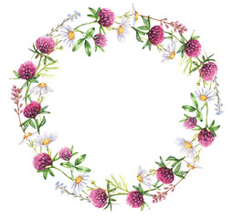 Hand-drawn watercolor wreath of the different meadow flowers. Clover, daisies wreath. Tender summer floral wreath illustration isolated on the white background. Wreath of flowers blossom