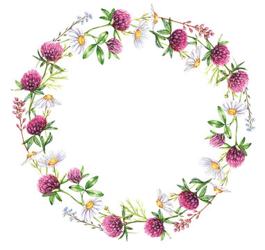 Hand-drawn watercolor wreath of the different meadow flowers. Clover, daisies wreath. Tender summer floral wreath illustration isolated on the white background. Wreath of flowers blossom