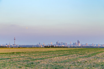 skyline of frankfurt in the evening