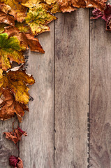 Naklejka na ściany i meble cornice di foglie d'autunno, spazio da riempire