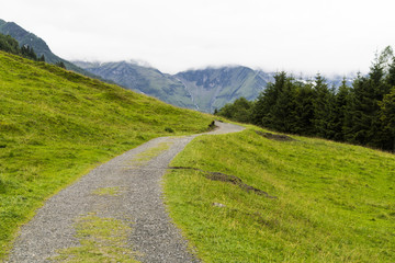 Fototapeta na wymiar Wanderweg mitten in den Alpen zum Bergwandern