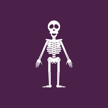 Skeleton for halloween in a flat style