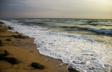 Fototapeta na wymiar morning sea beach