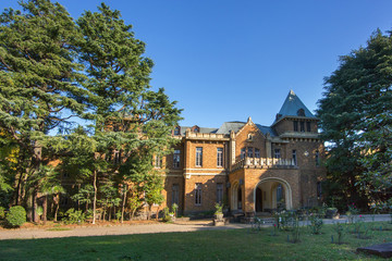 Fototapeta premium 駒場公園 