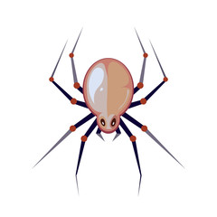 vector illuastration of big spider