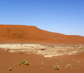 Namib Desert